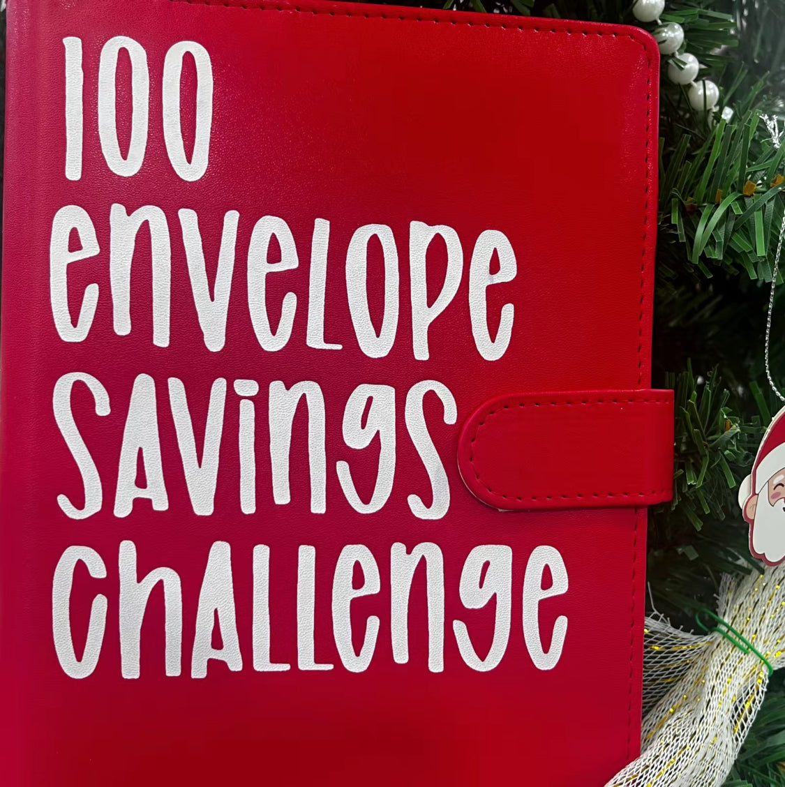 100 Envelope Challenge Binder